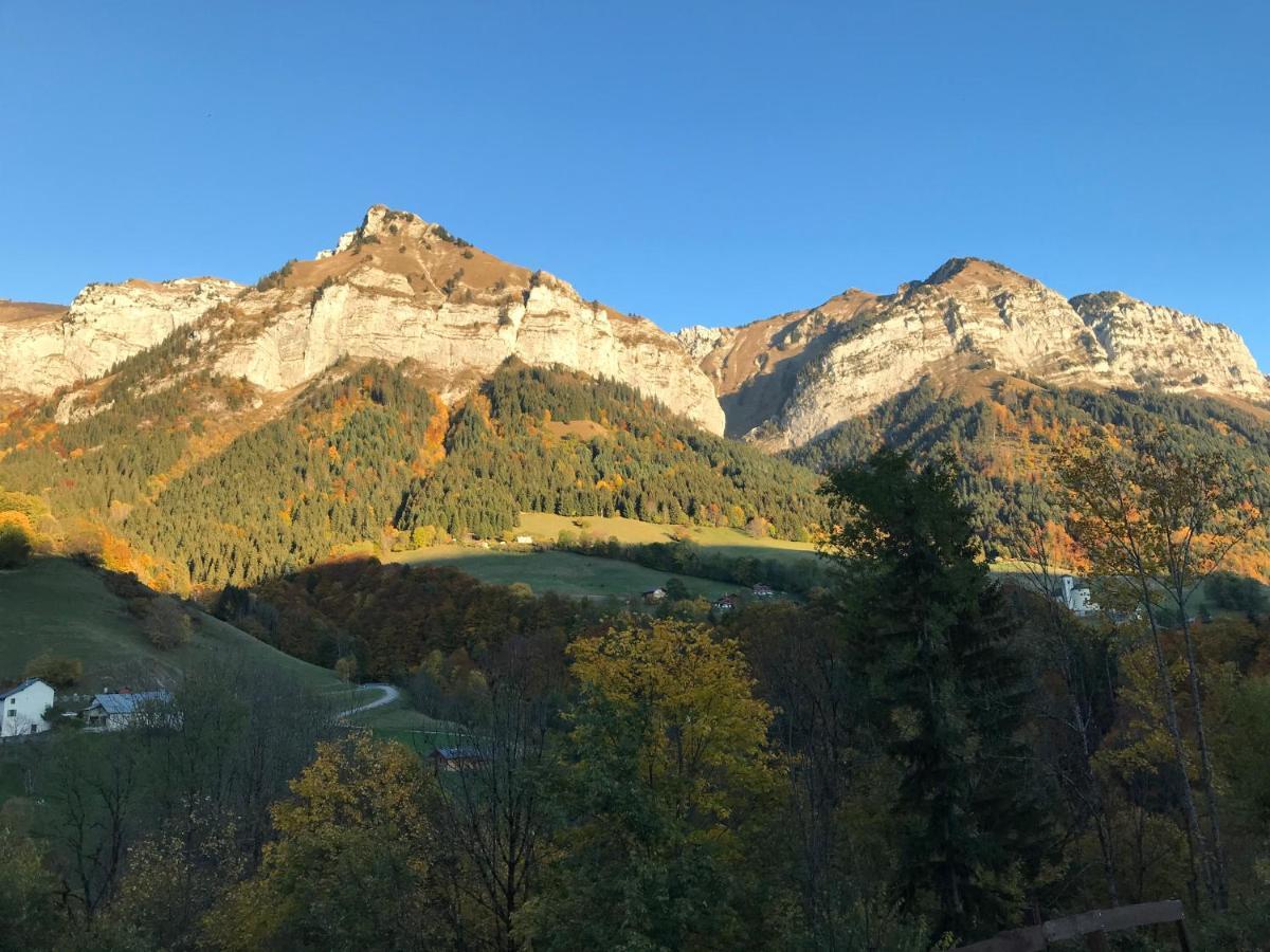 Magnifique T3 Entre Lac Et Montagne Pres D'Annecy Montmin Екстер'єр фото
