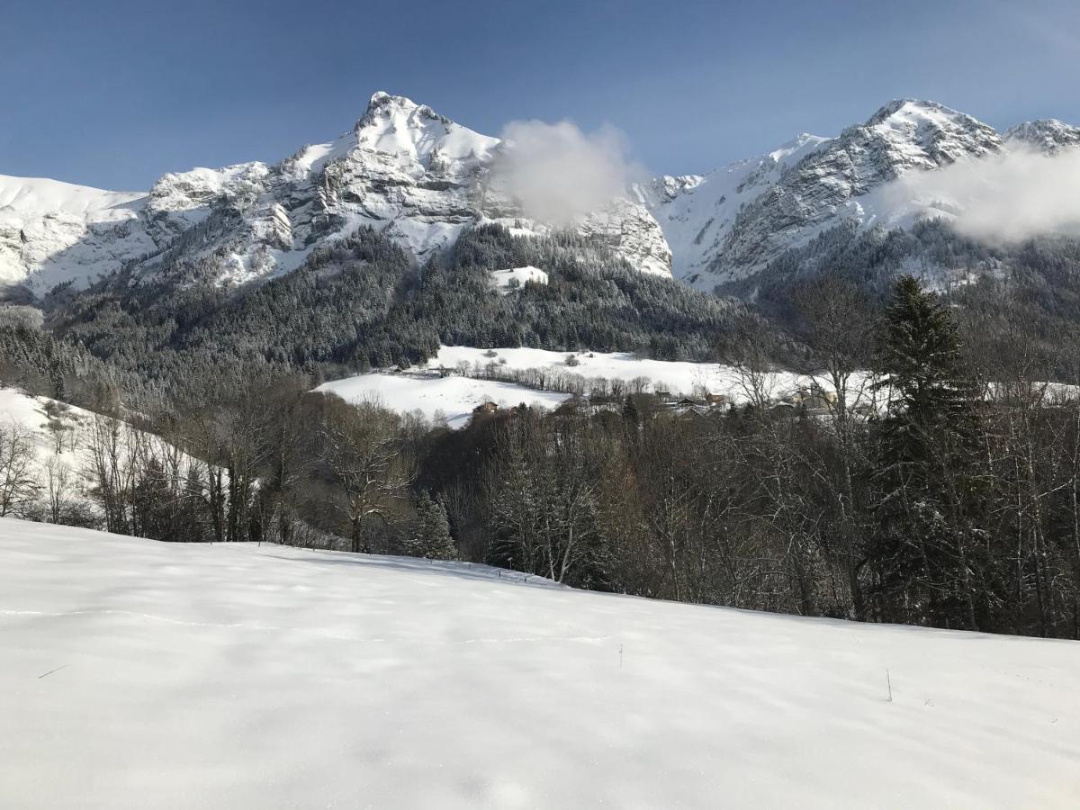Magnifique T3 Entre Lac Et Montagne Pres D'Annecy Montmin Екстер'єр фото