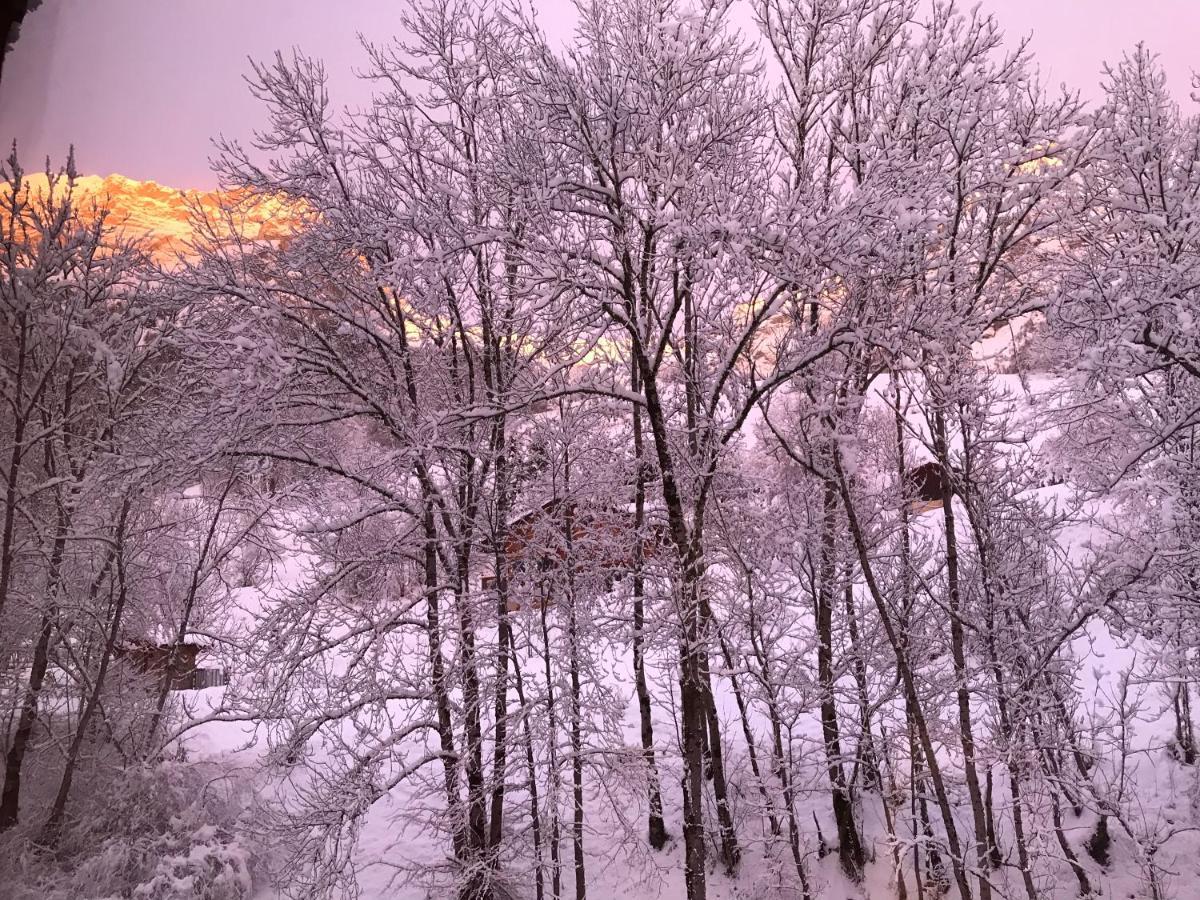Magnifique T3 Entre Lac Et Montagne Pres D'Annecy Montmin Екстер'єр фото